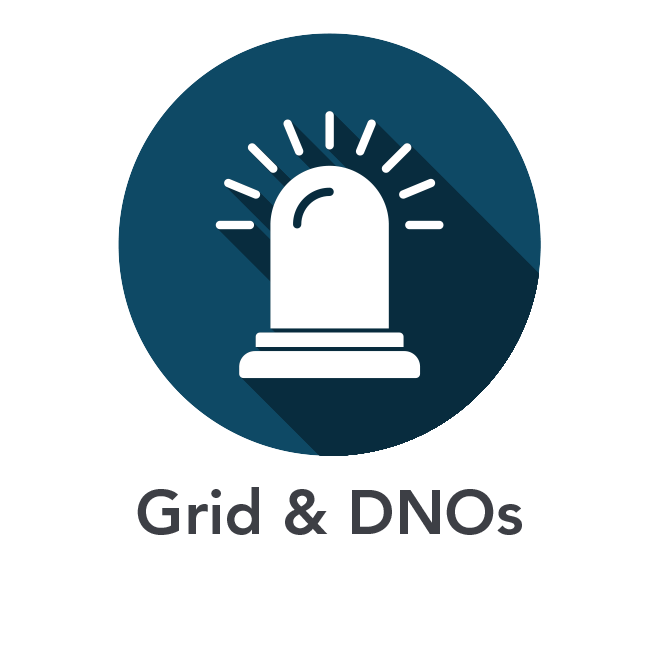 Grid & DNOs Icon