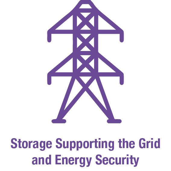 ESSCEE Storage Supporting the Grid and Energy Security Icon